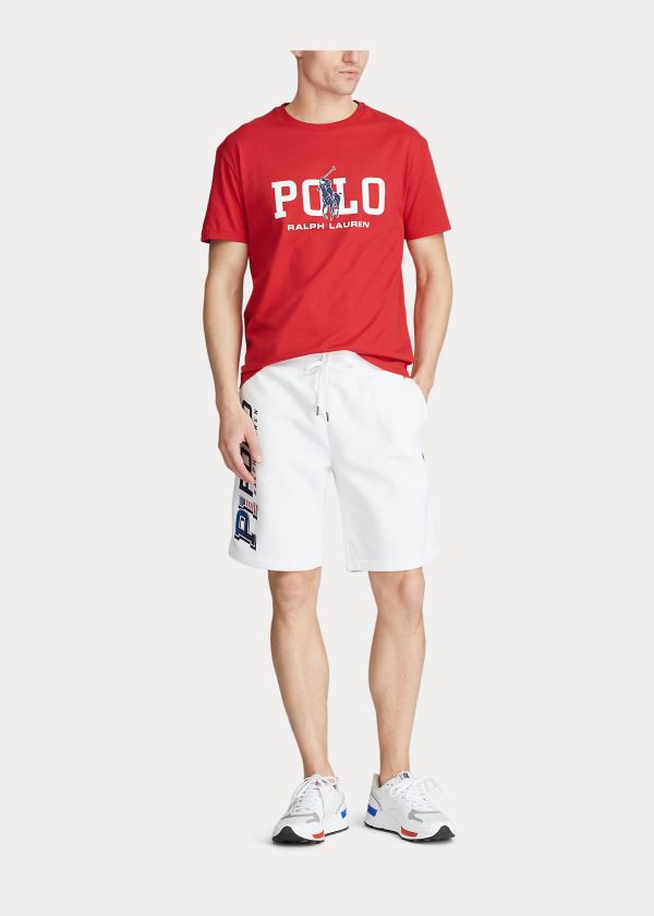 Polo Ralph Lauren Classic Fit Logo T Shirt Herre Danmark (OXAUQ3459)